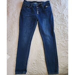 Judy Blue High Rise Blue Jeans Skinny Fit